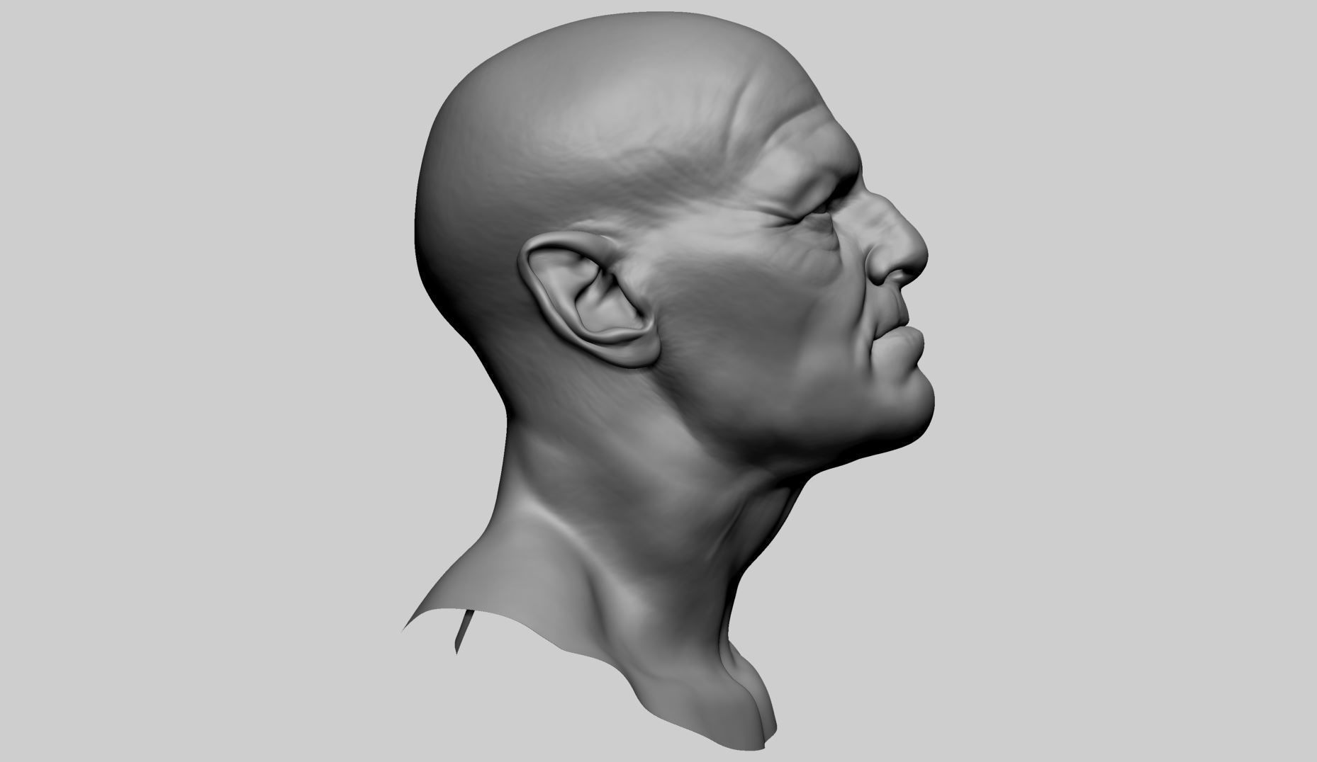 Male Head D 3D model_2