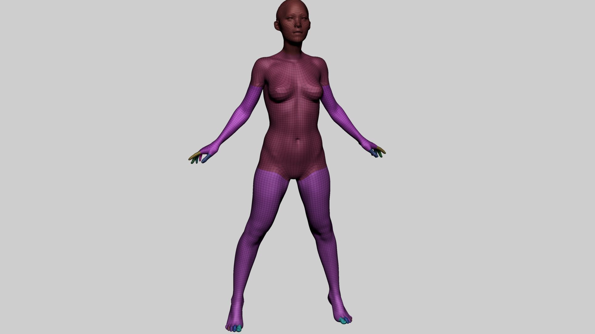 Female Basemesh A 3D model_9