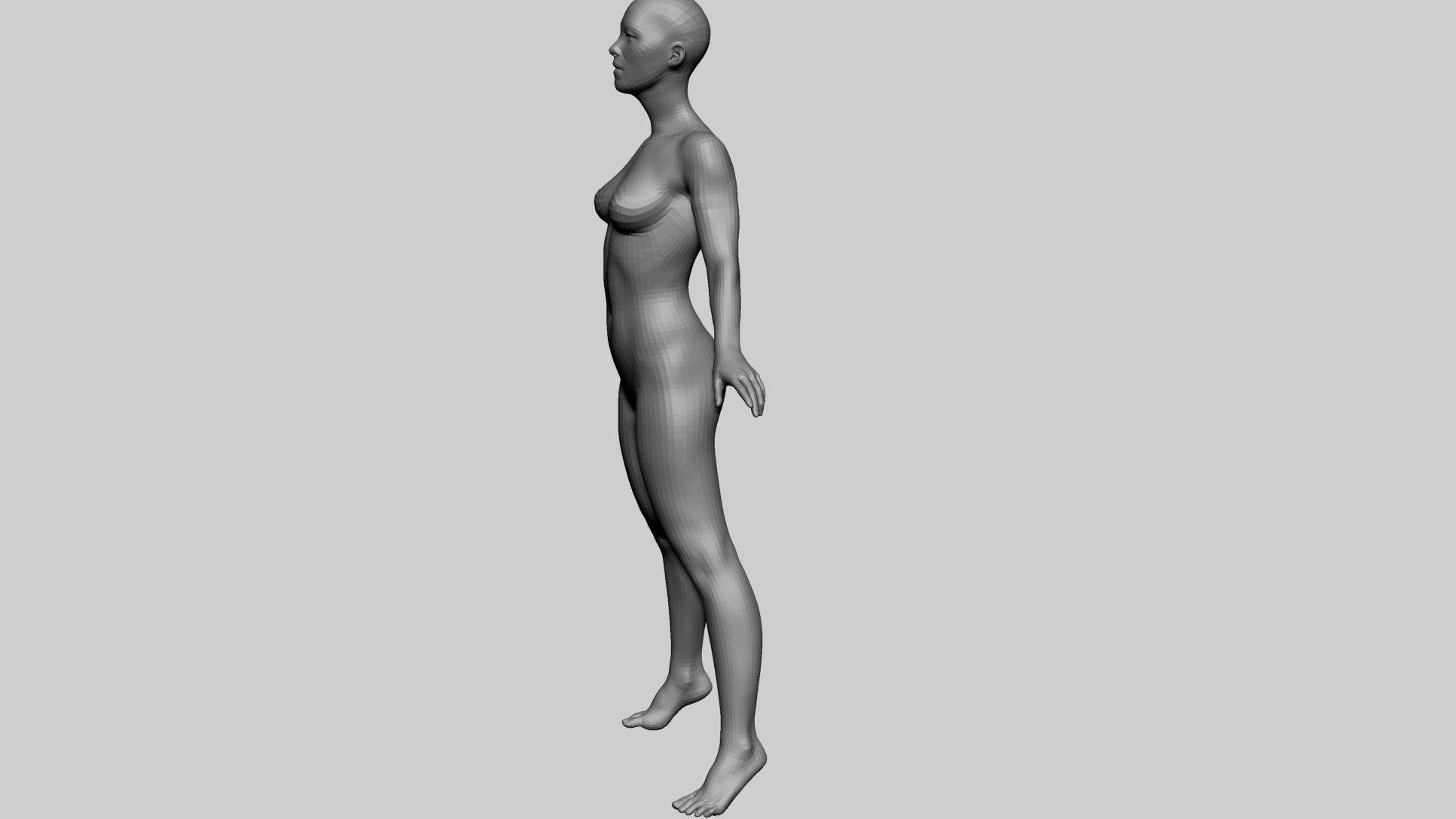 Female Basemesh A 3D model_7