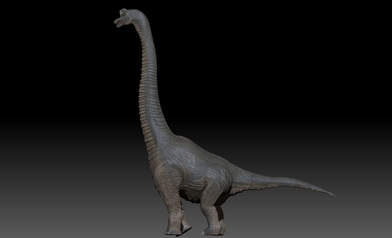 Brachiosaurus dinosaur 3D model_3