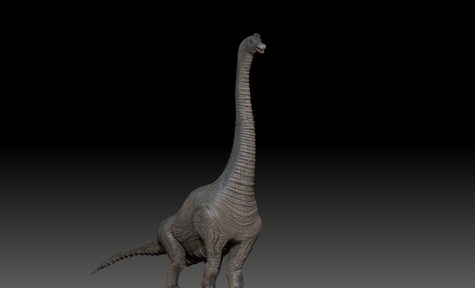 Brachiosaurus dinosaur 3D model_4