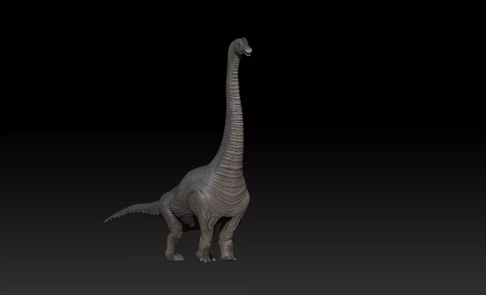 Brachiosaurus dinosaur 3D model_0