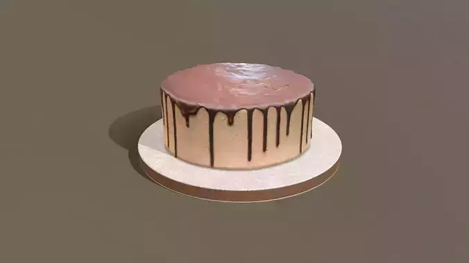 Plain Chocolate Drip Cake
