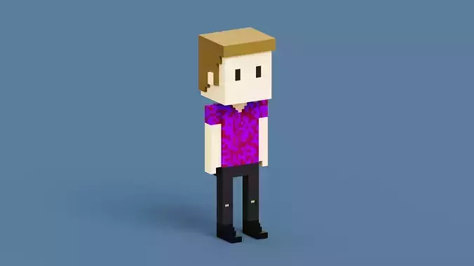 NFT Voxel Character