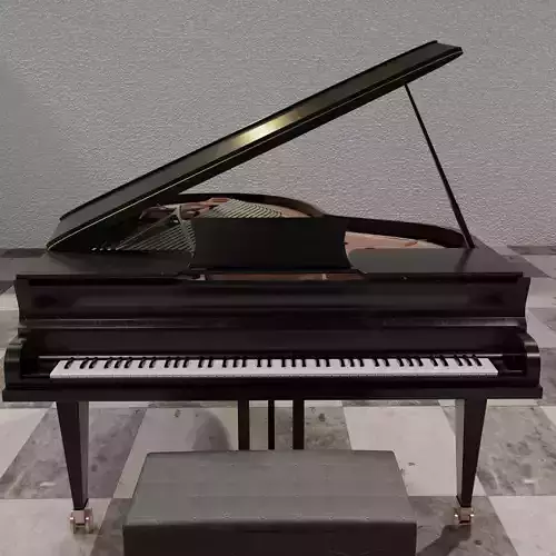 Grand  Piano Black Piano