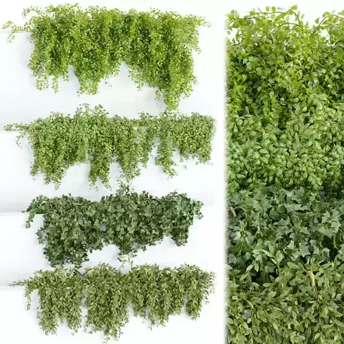 Hanging wall plants collection vol 64 3D model