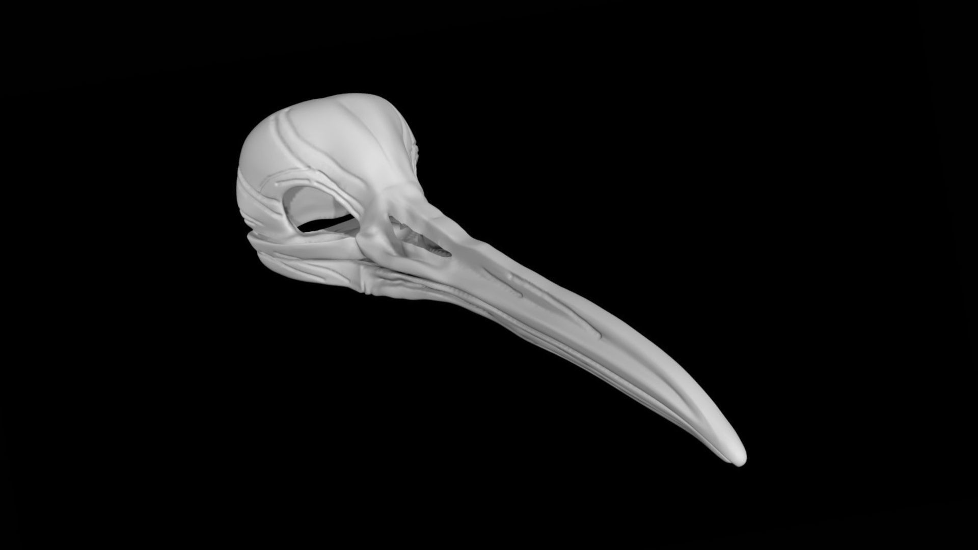 Kiwi skull Low-poly 3D model_6
