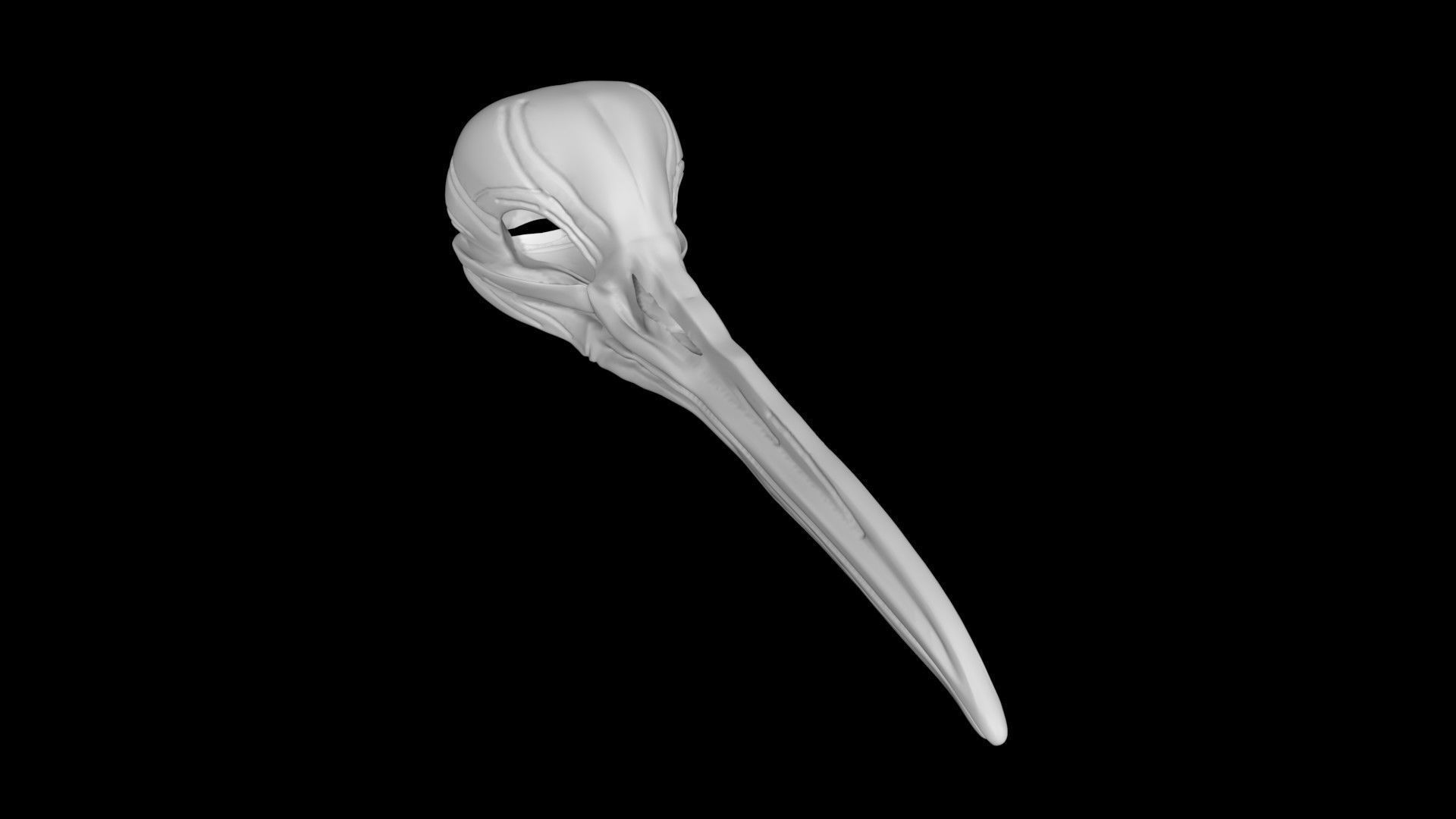 Kiwi skull Low-poly 3D model_5