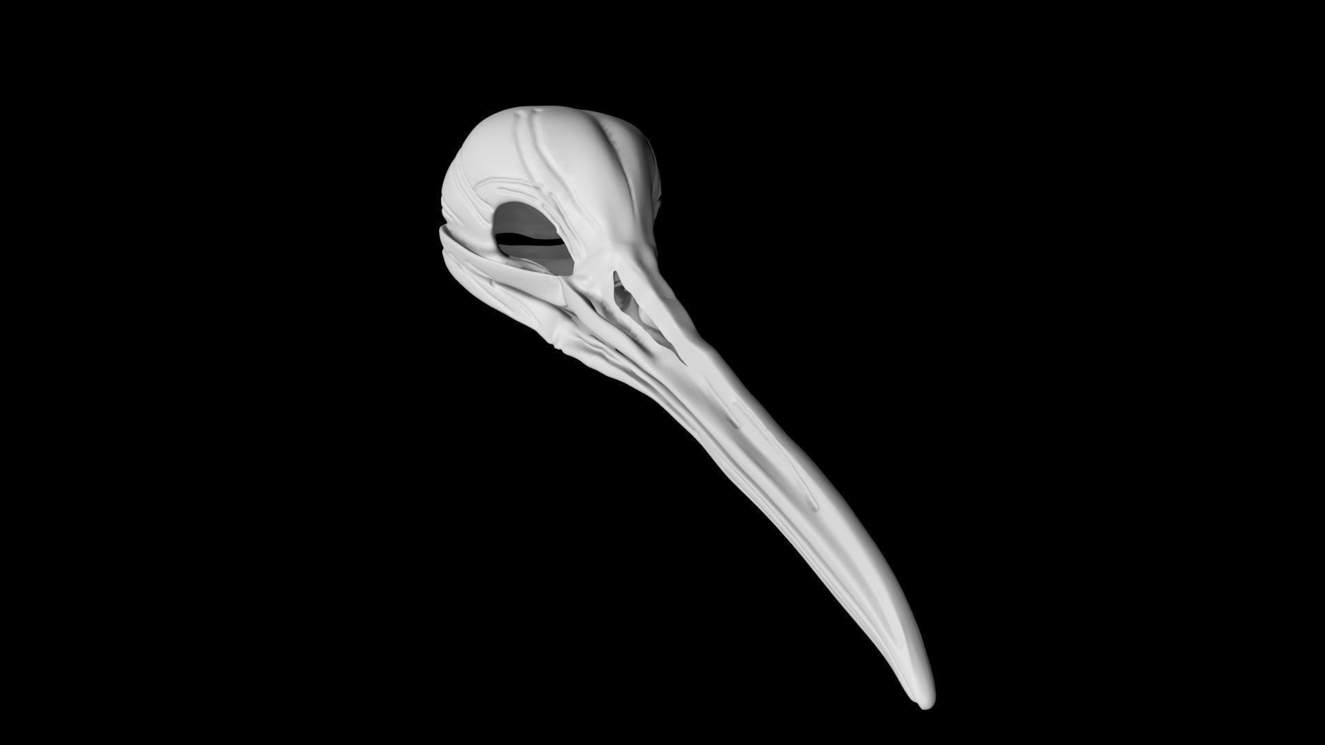 Kiwi skull Low-poly 3D model_1