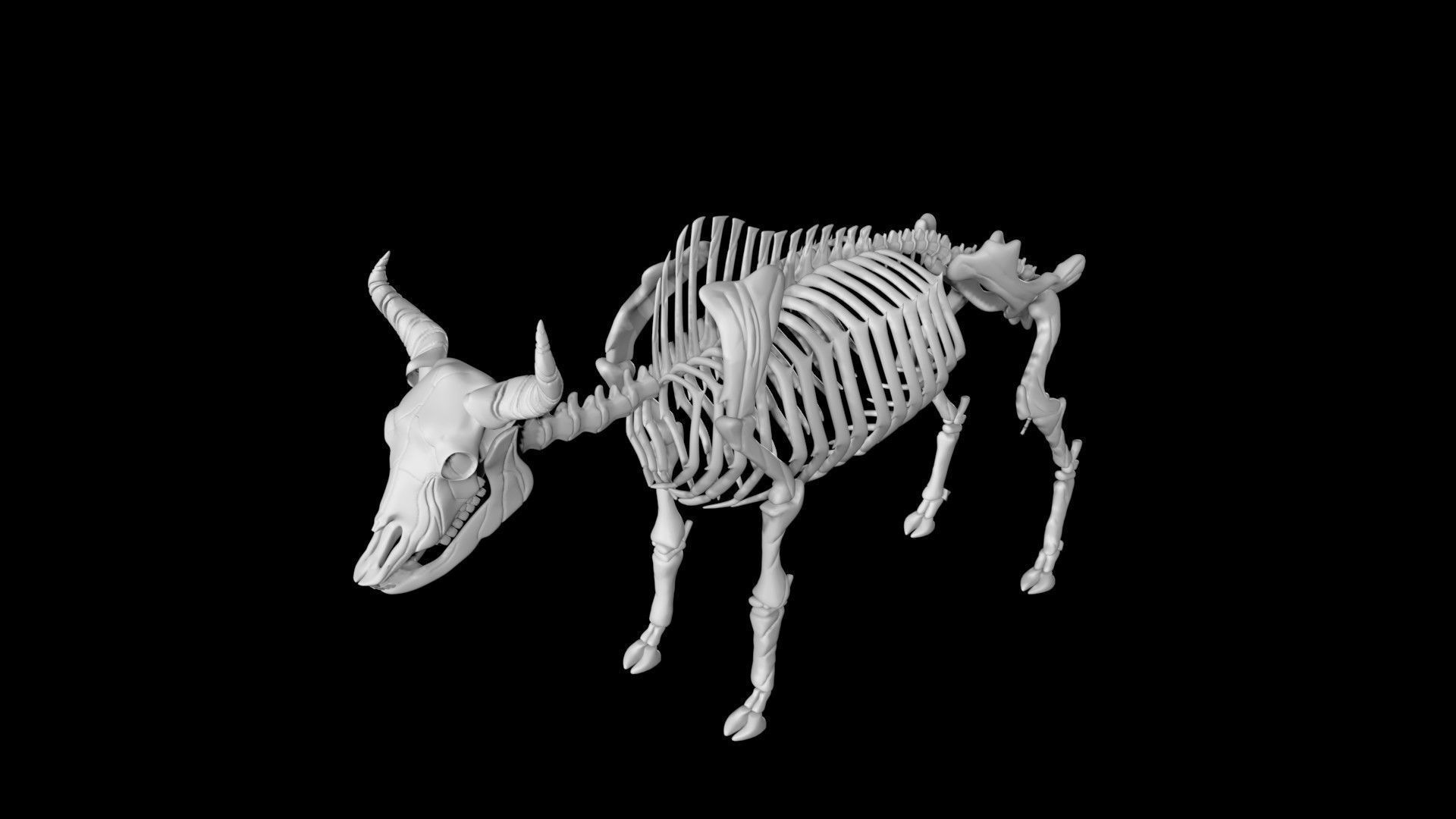 Bison skeleton Low-poly 3D model_4
