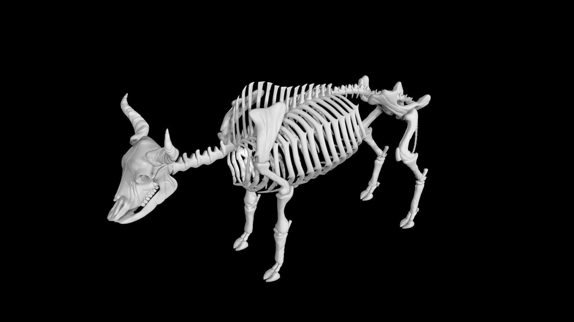 Bison skeleton Low-poly 3D model_3