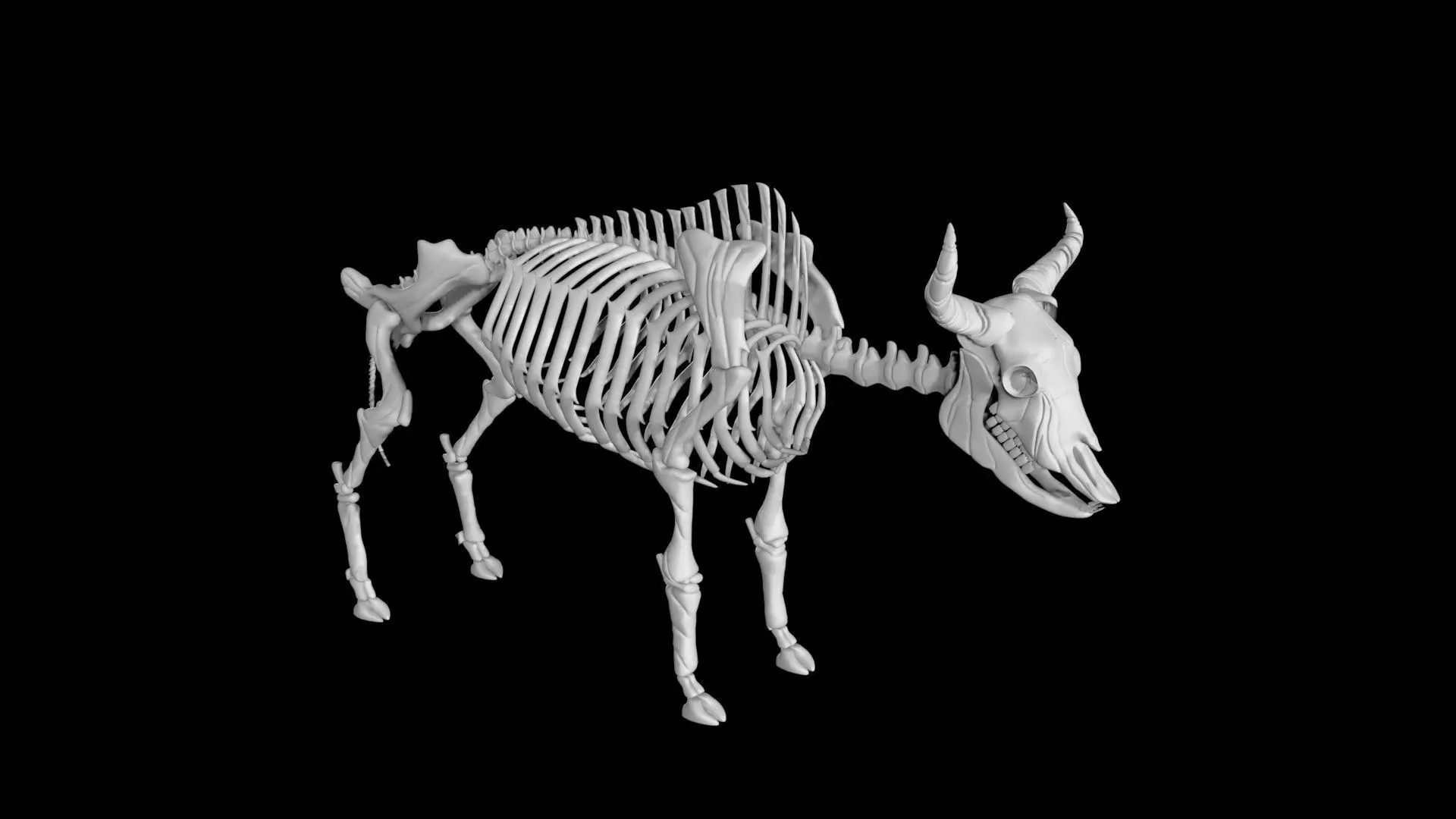 Bison skeleton Low-poly 3D model_0