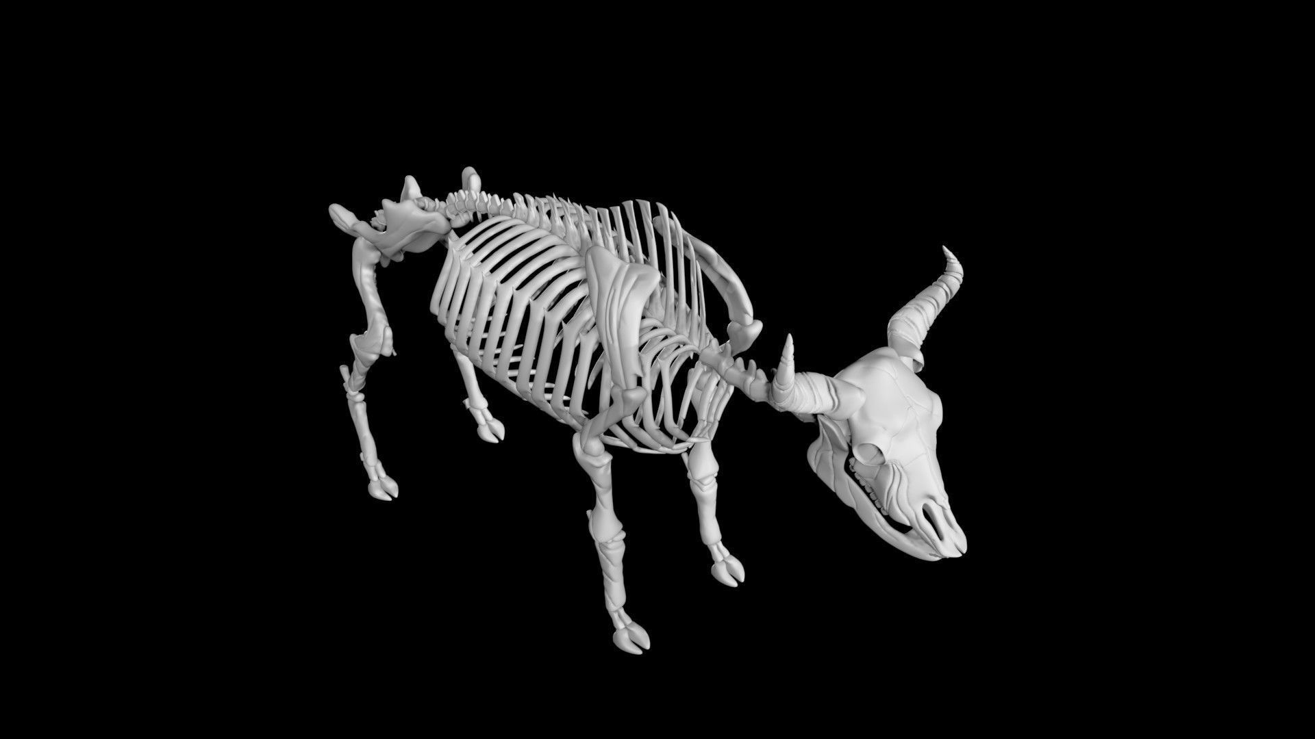 Bison skeleton Low-poly 3D model_1