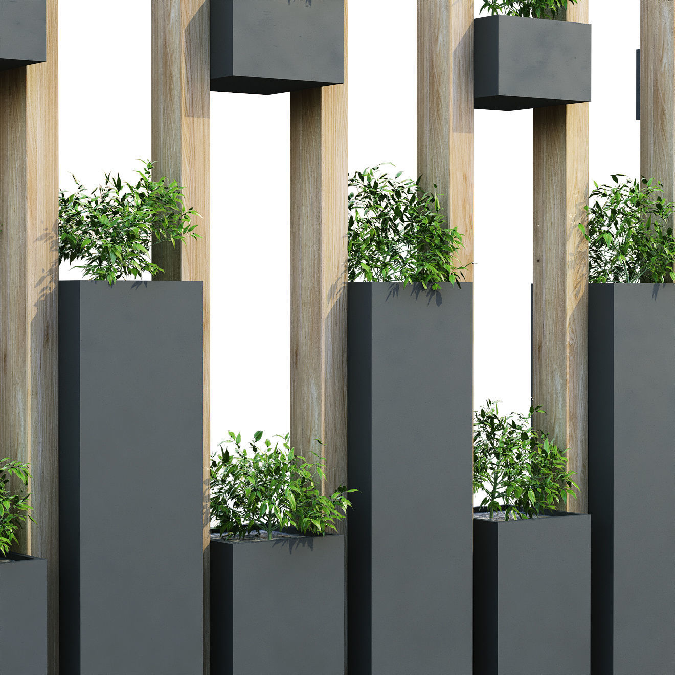 vertical plant partition set 203 3D model_2