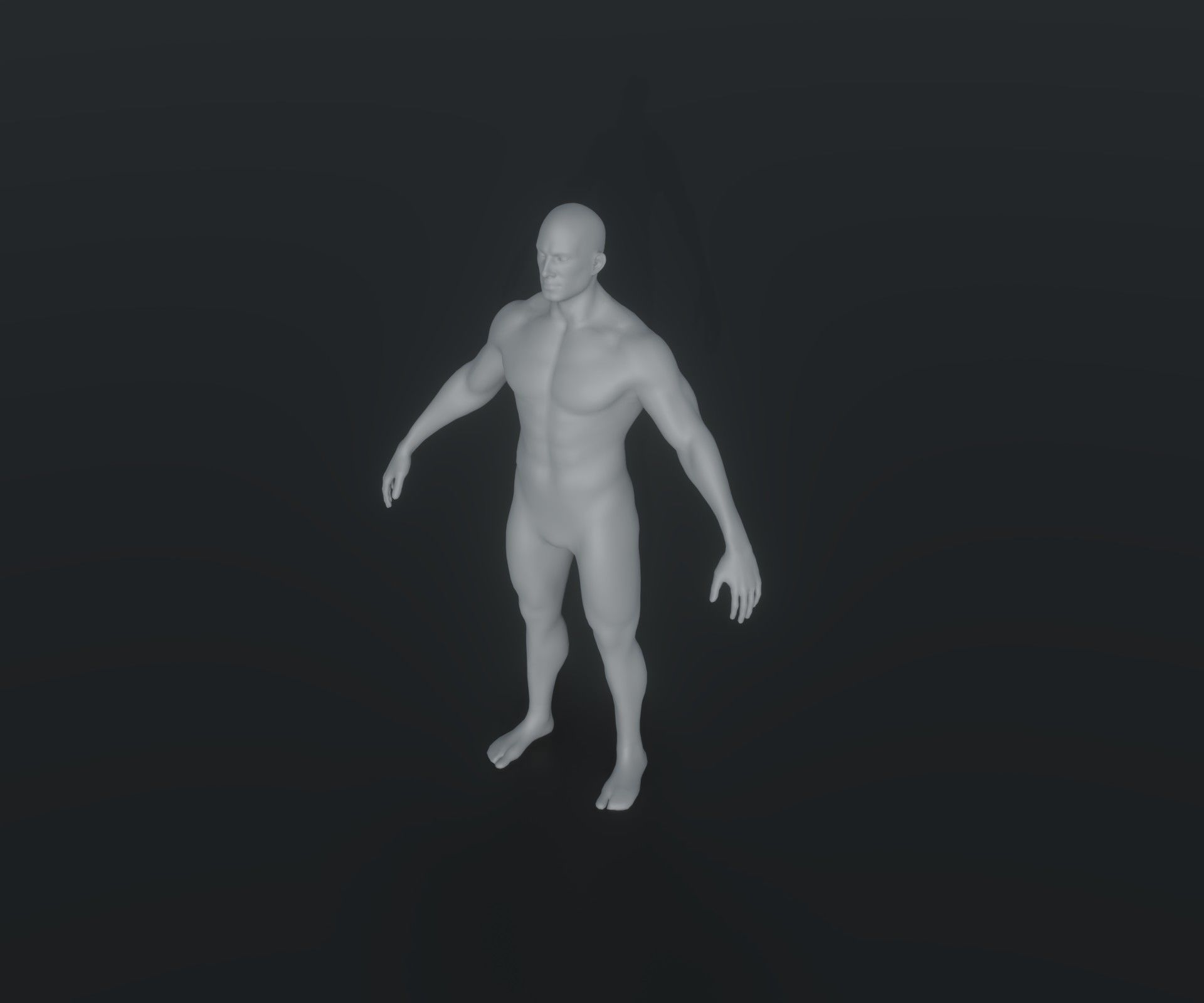 Male and Female Body Base Mesh Animated and Rigged 20k Polygons Low-poly 3D model_28