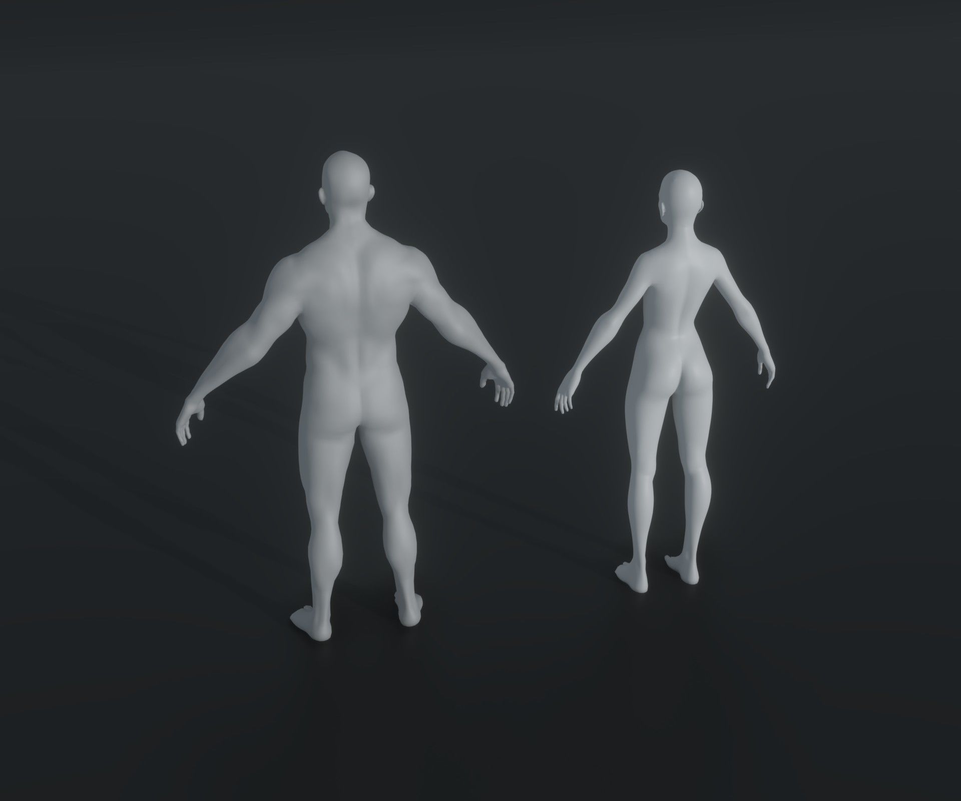 Male and Female Body Base Mesh Animated and Rigged 20k Polygons Low-poly 3D model_2