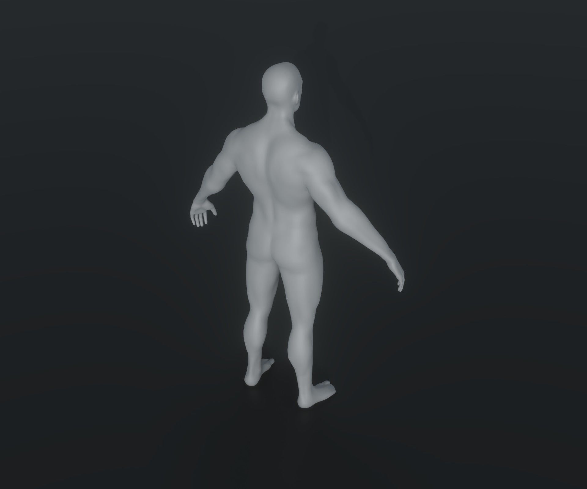 Male and Female Body Base Mesh Animated and Rigged 20k Polygons Low-poly 3D model_30
