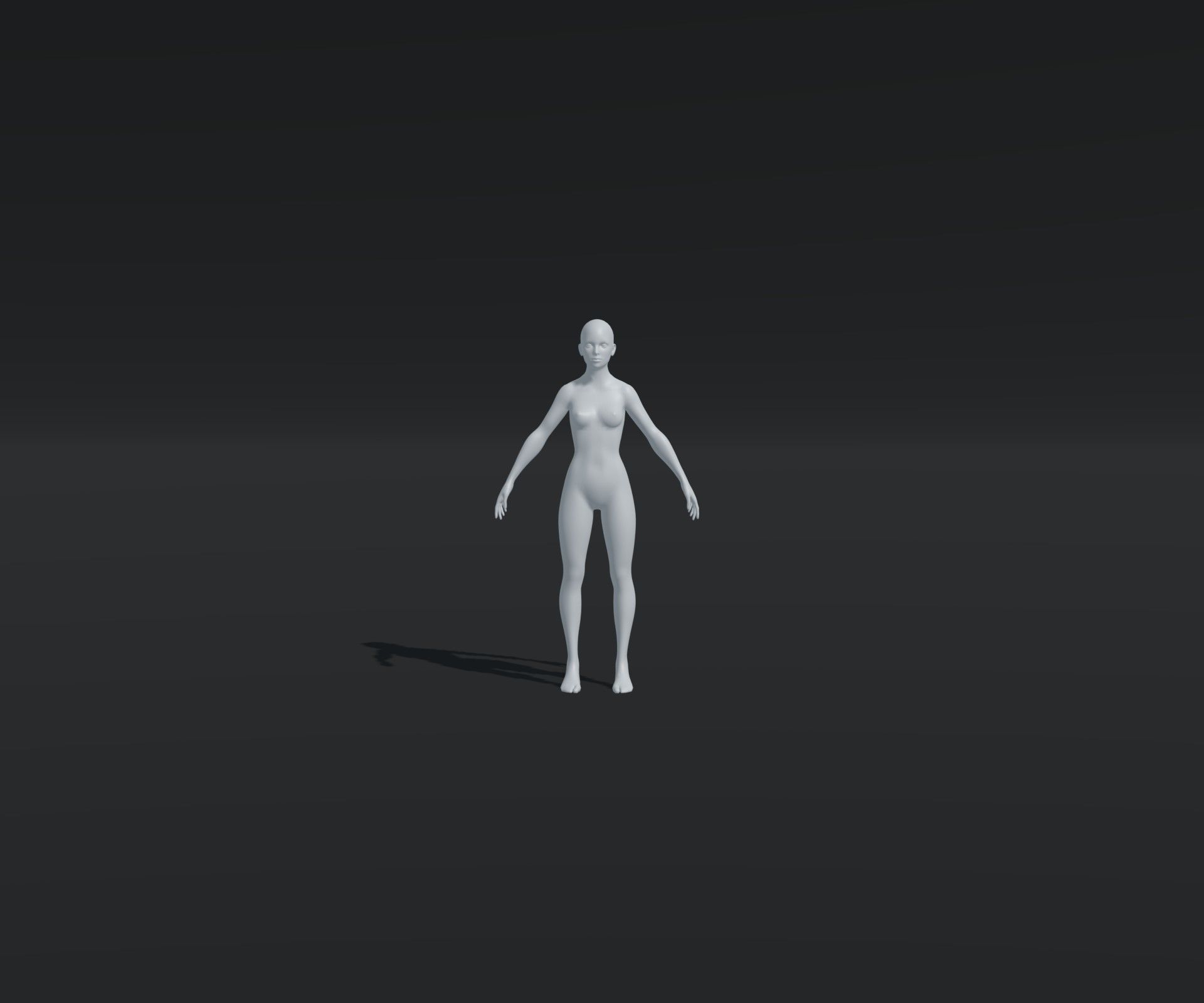 Male and Female Body Base Mesh Animated and Rigged 20k Polygons Low-poly 3D model_11