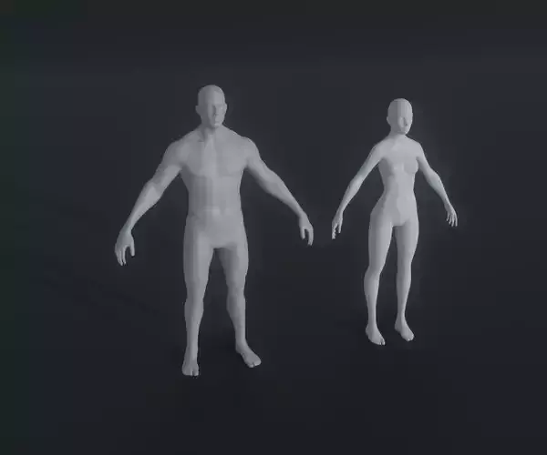 Male and Female Body Base Mesh Animated and Rigged 20k Polygons Low-poly 3D model