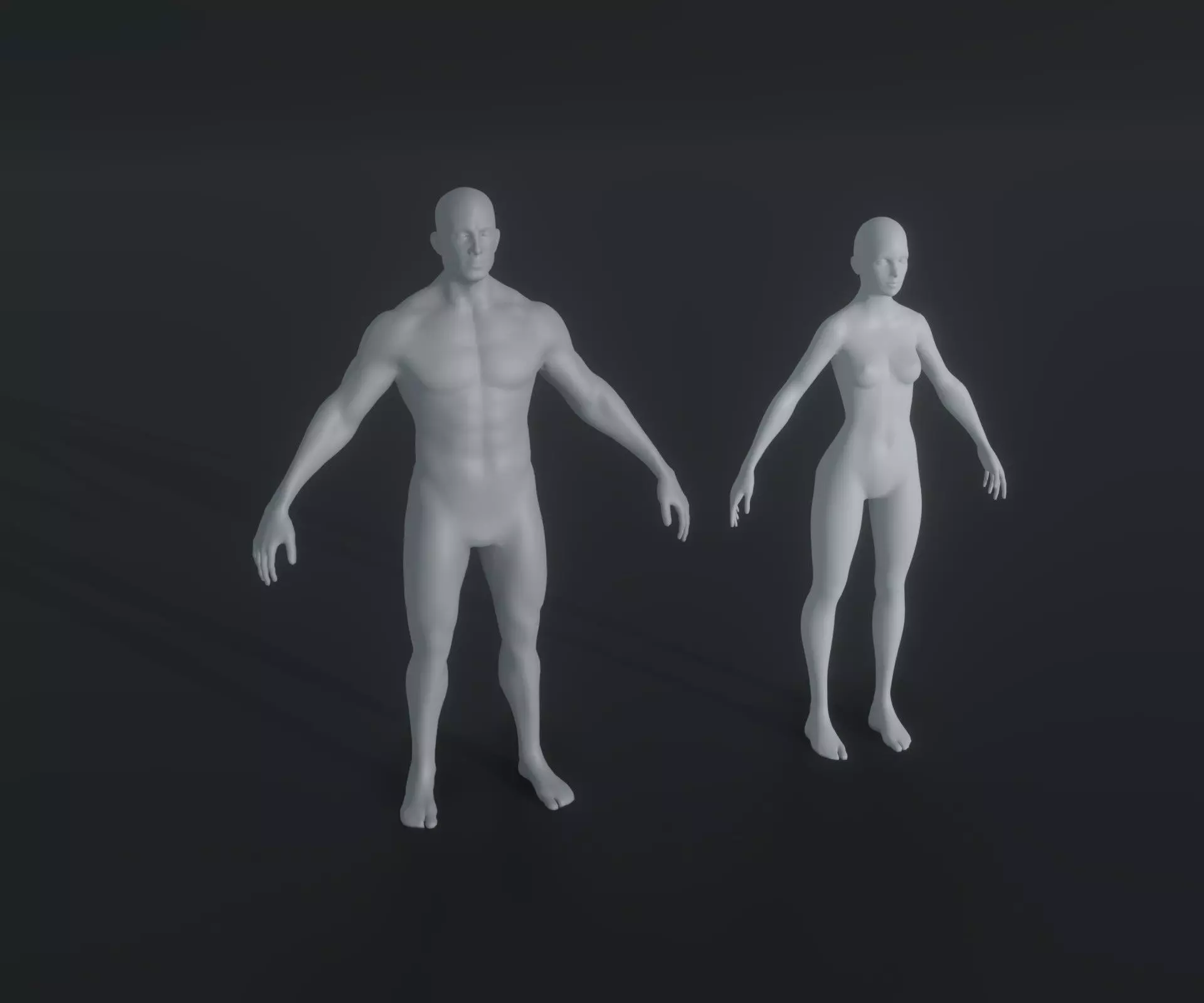 Male and Female Body Base Mesh Animated and Rigged 20k Polygons Low-poly 3D model_0
