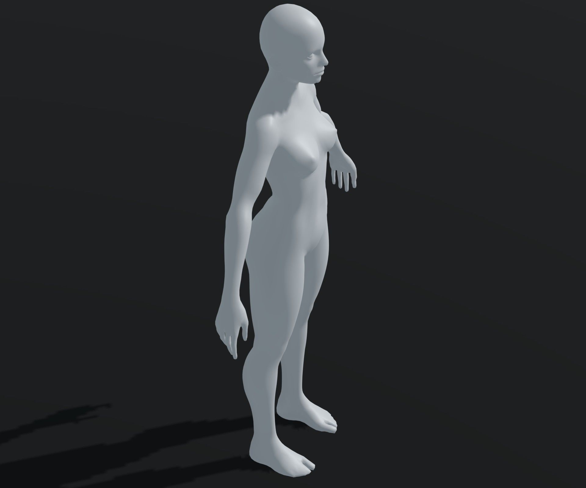 Male and Female Body Base Mesh Animated and Rigged 20k Polygons Low-poly 3D model_19