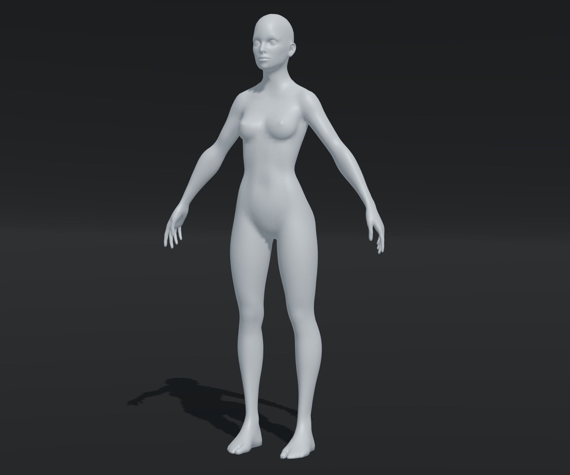 Male and Female Body Base Mesh Animated and Rigged 20k Polygons Low-poly 3D model_16
