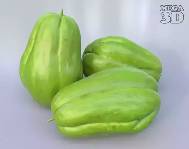 Chayote Squash Photogrammetry 220424
