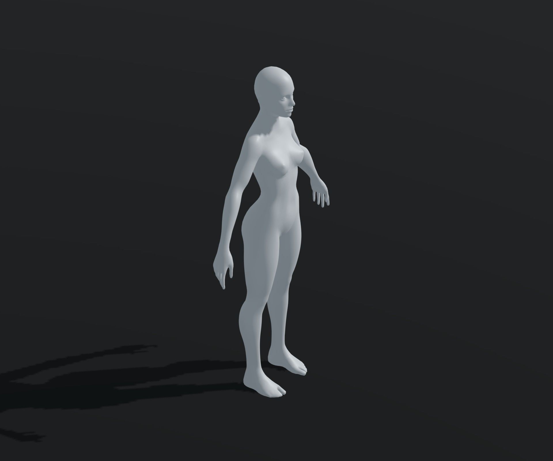 Male Female Body Base Mesh Animated Rigged 20k Poly Collection _34