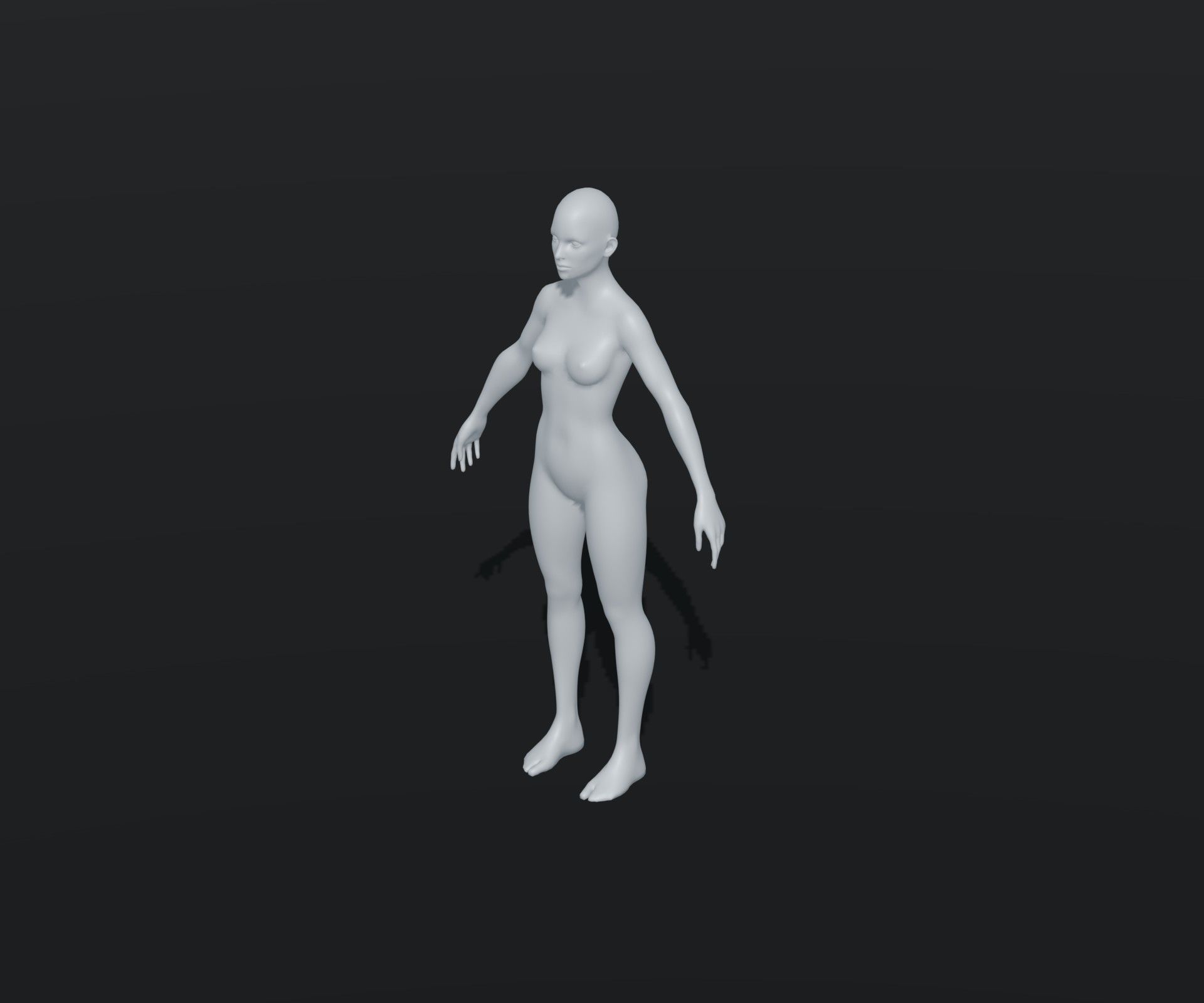 Male Female Body Base Mesh Animated Rigged 20k Poly Collection _31