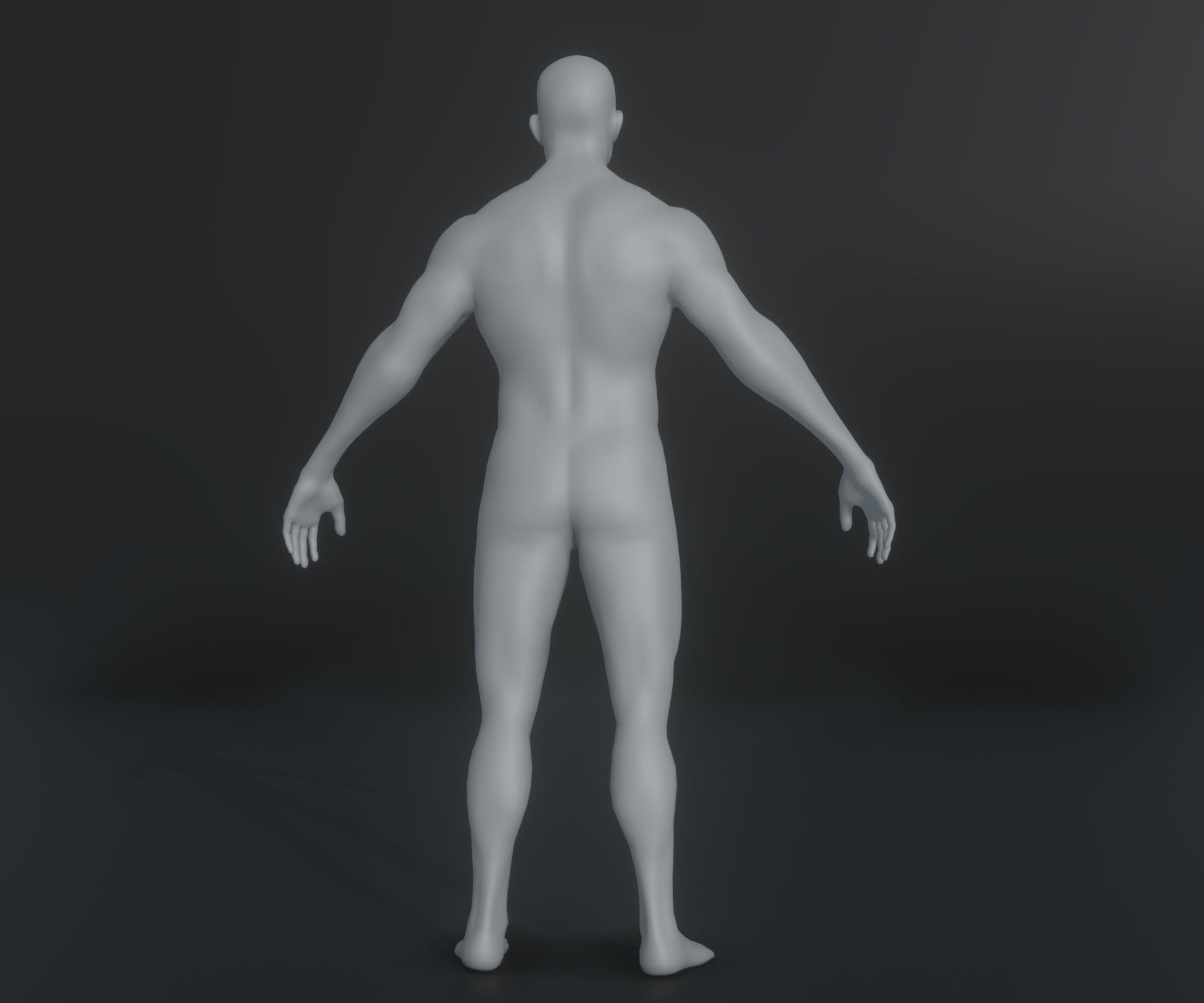Male Female Body Base Mesh Animated Rigged 20k Poly Collection _50
