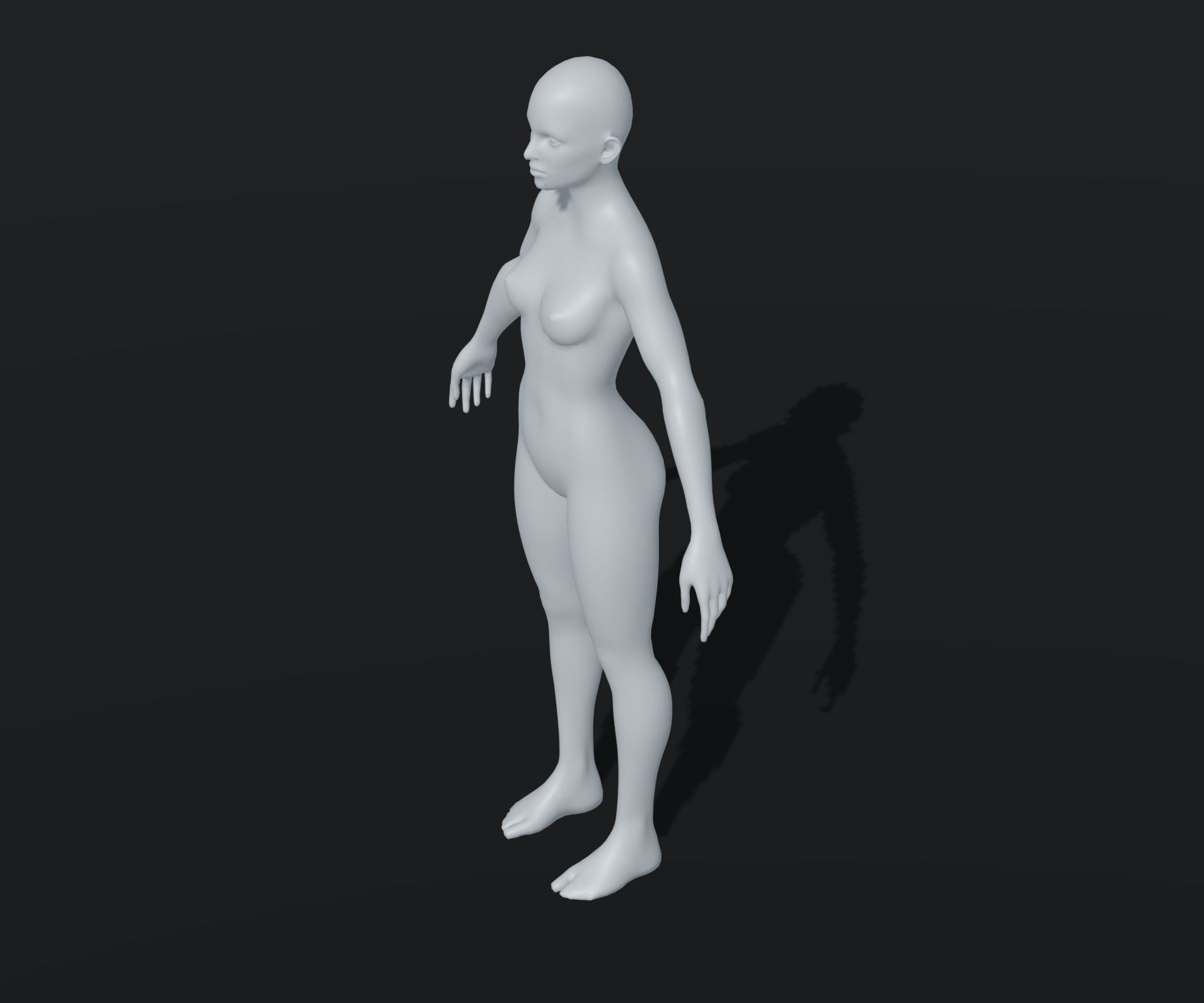 Male Female Body Base Mesh Animated Rigged 20k Poly Collection _30