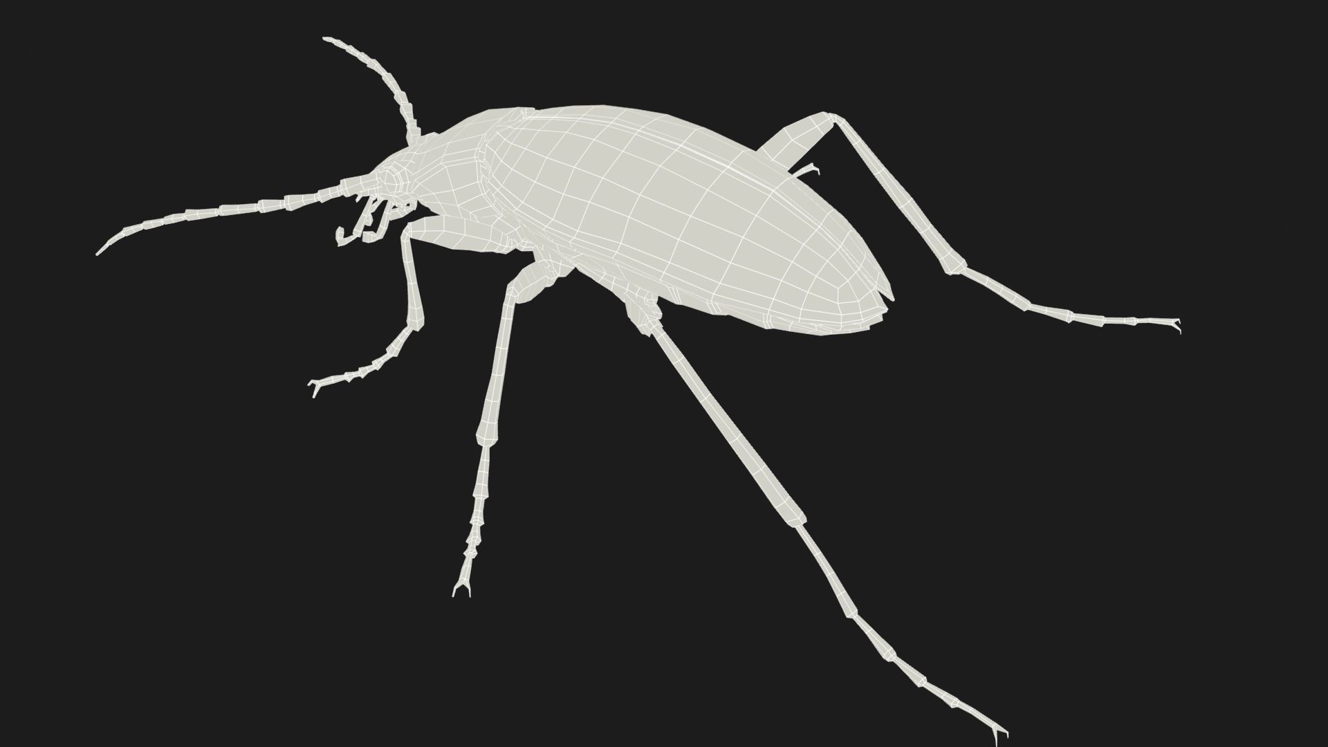 Bombardier Beetle Low-poly 3D model_9