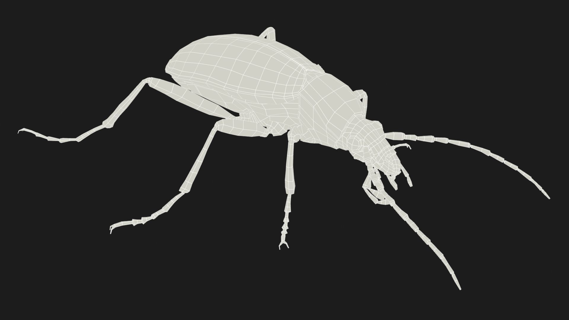 Bombardier Beetle Low-poly 3D model_8
