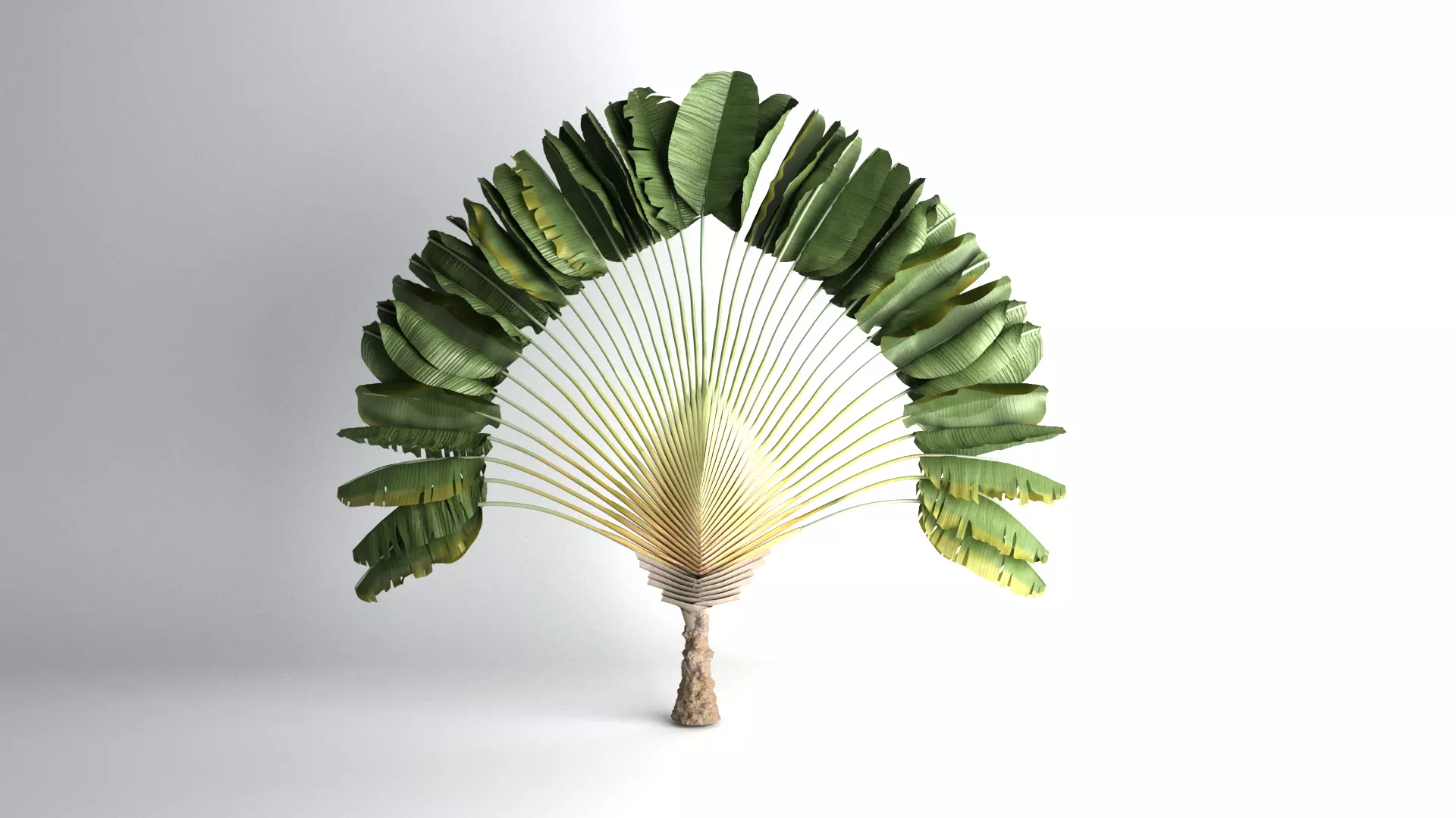 Ravenale - Madagascar 3D model_0