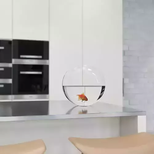 Goldfish in Bowl