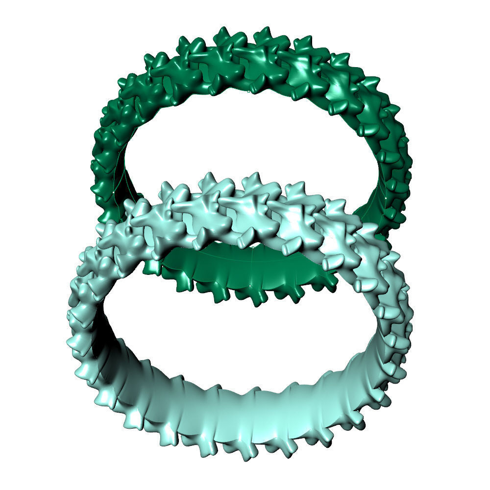Spine Ring 6 mm Length 3D print model_12