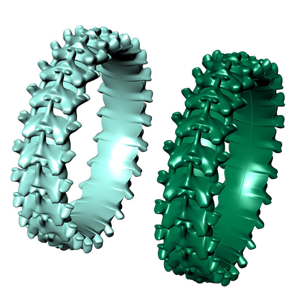 Spine Ring 6 mm Length 3D print model_8