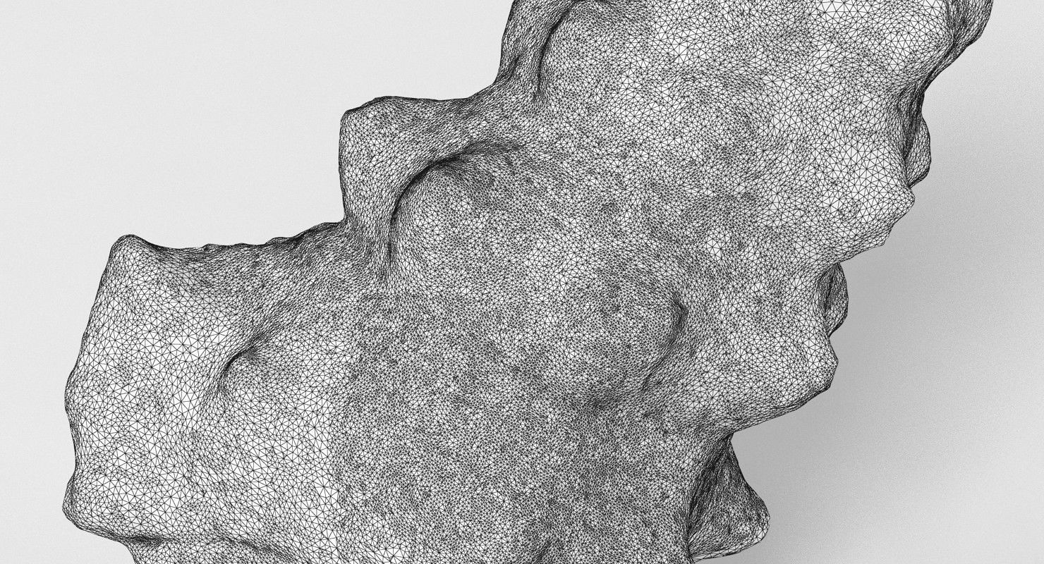 Seashell conch shell 3D model_4