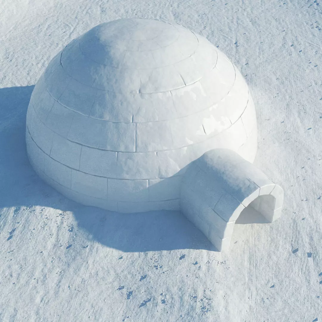 Igloo 2 in snow 3D model_0
