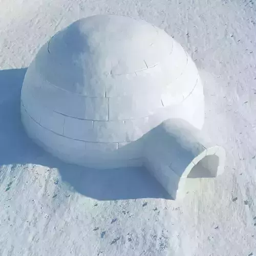 Igloo 2 in snow