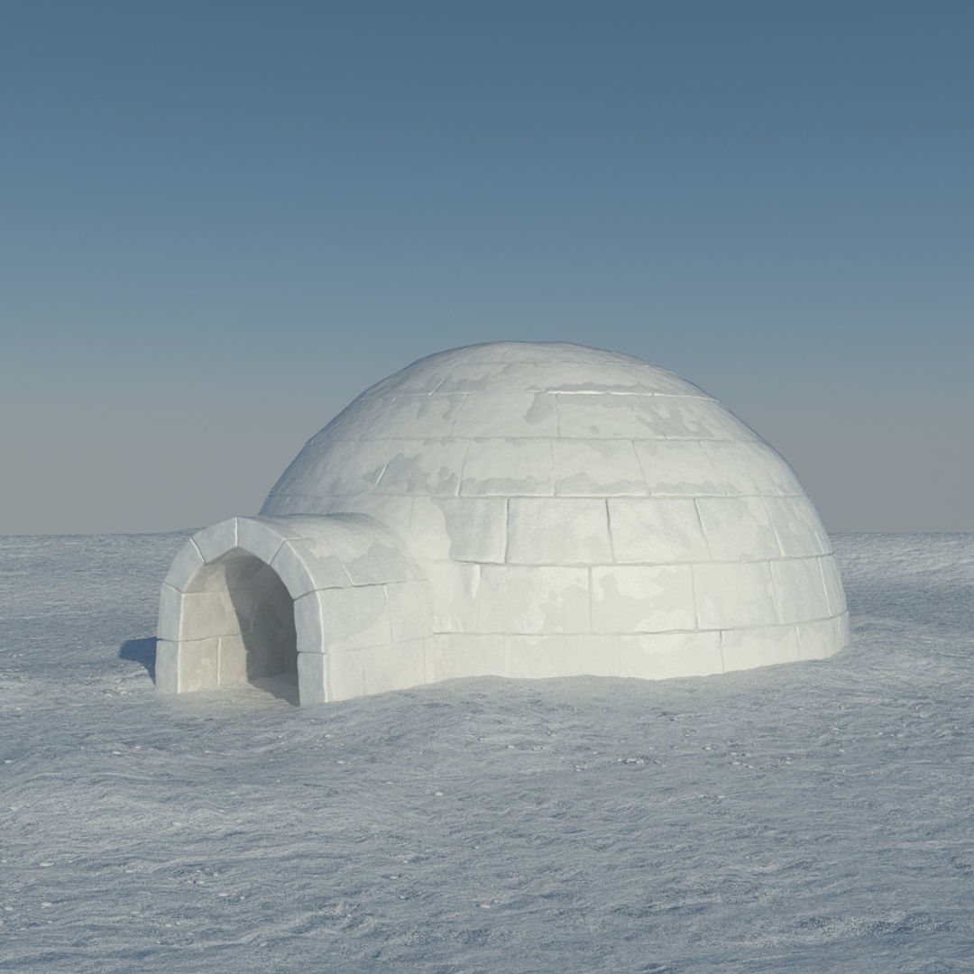 Igloo 2 in snow 3D model_5