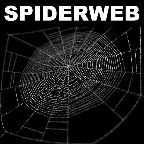 Spiderweb 1