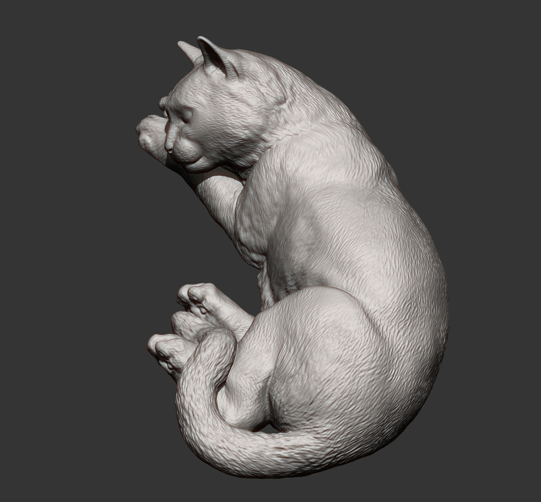 sleeping cat 3D print model_7