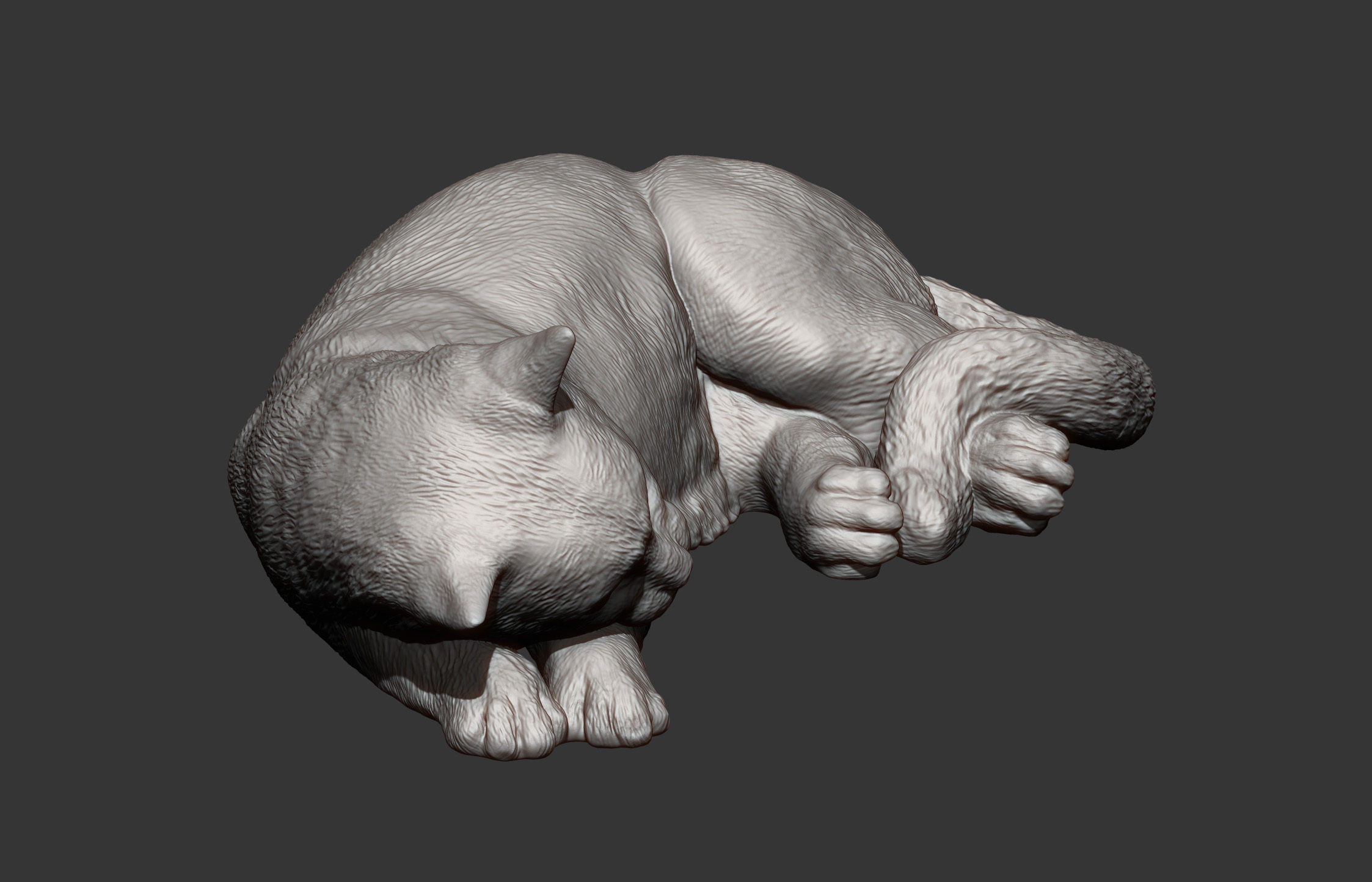 sleeping cat 3D print model_5