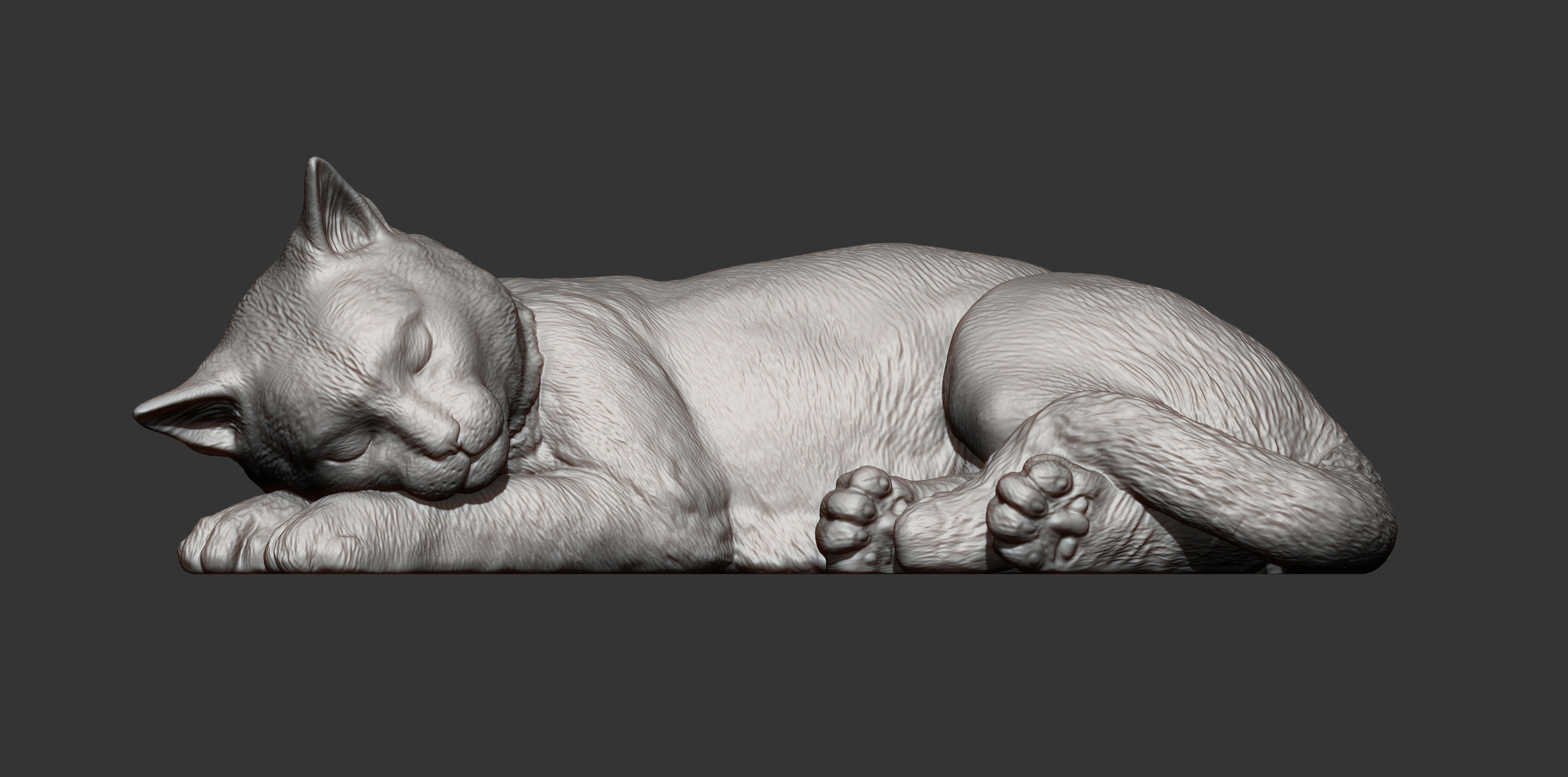 sleeping cat 3D print model_8