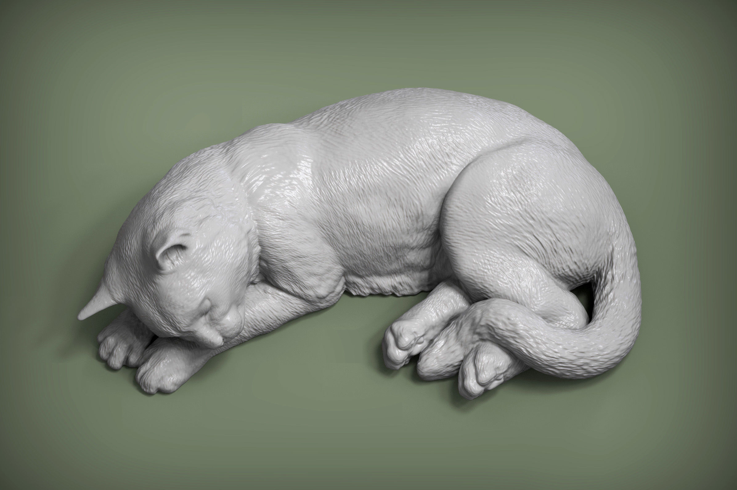 sleeping cat 3D print model_2