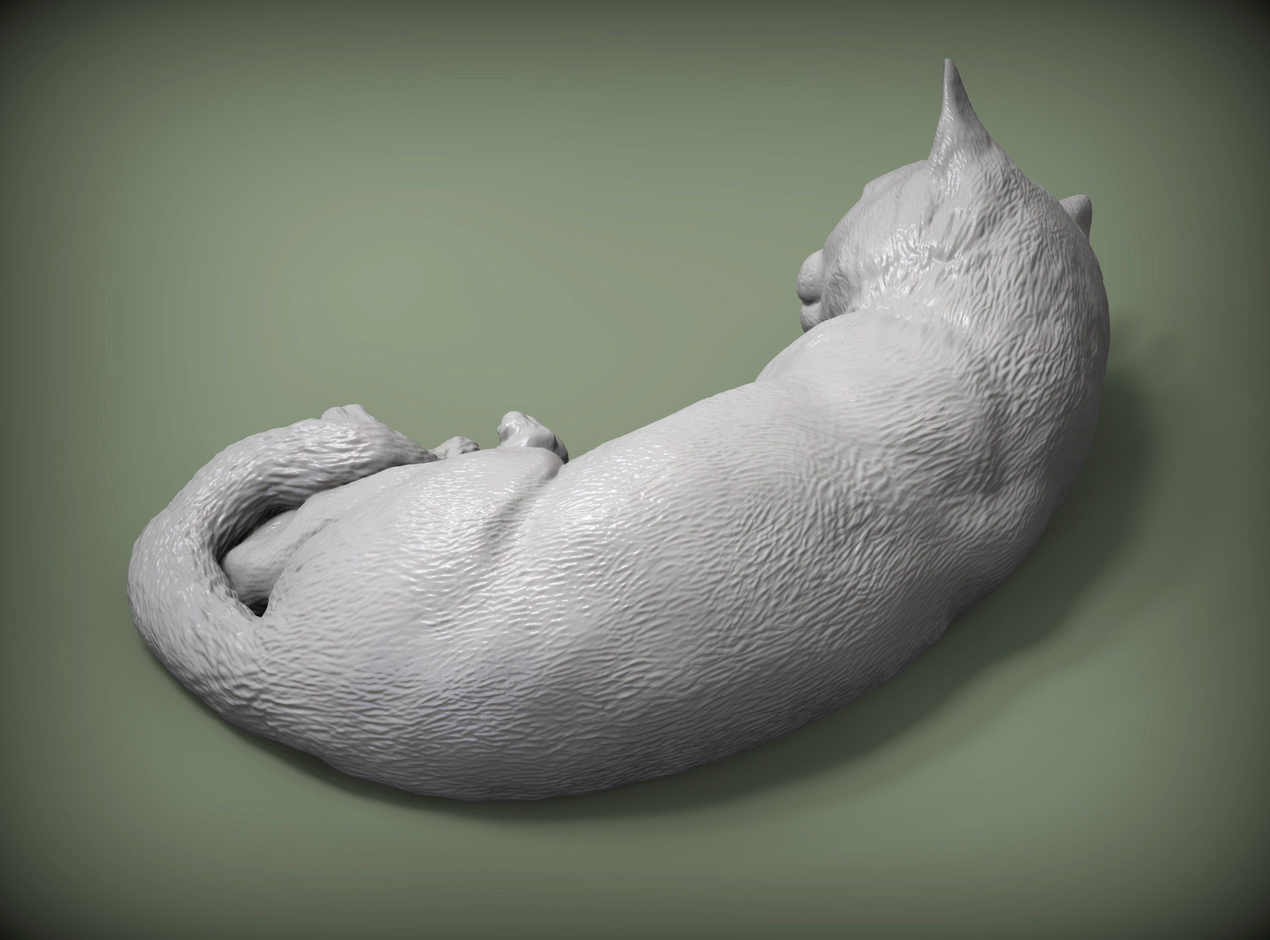 sleeping cat 3D print model_4