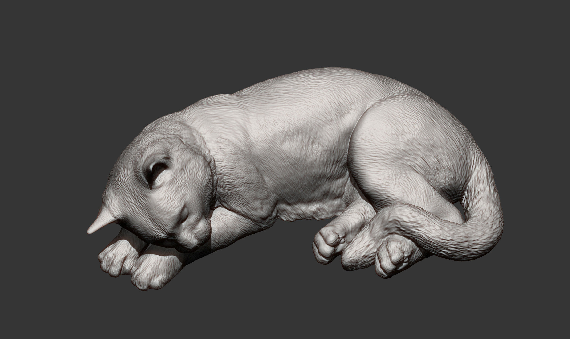 sleeping cat 3D print model_9