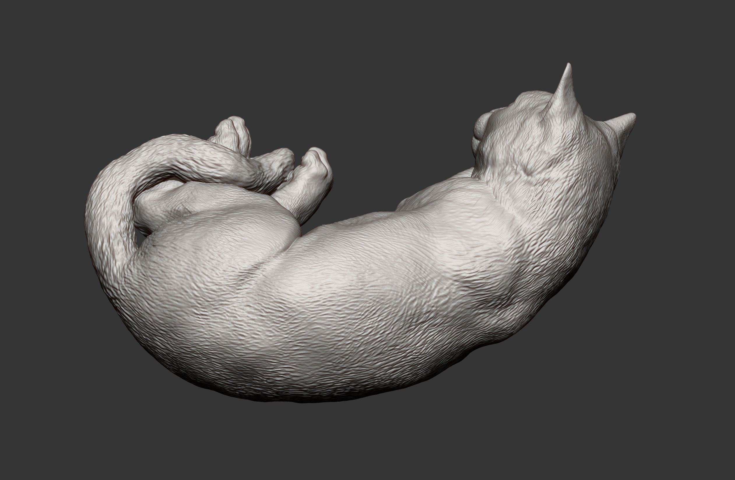 sleeping cat 3D print model_6