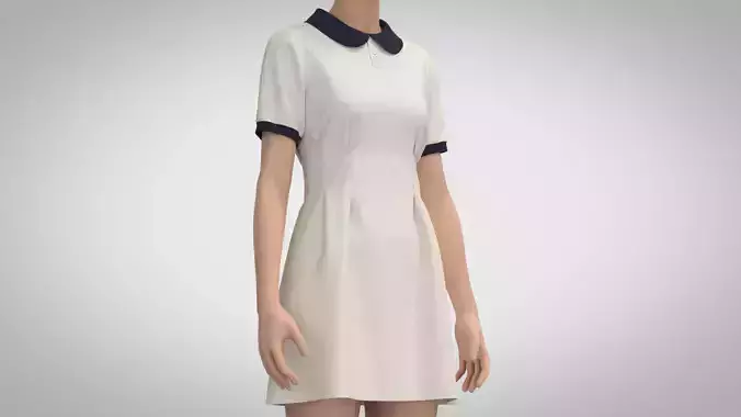 Mini A-line Dress 3D model